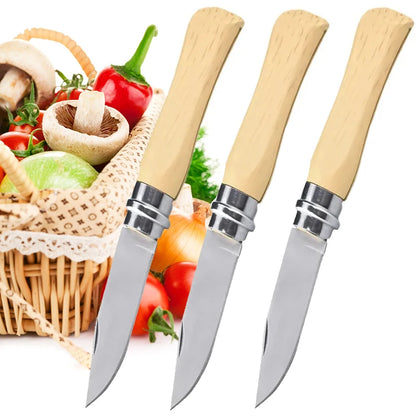 Pocket Knife Stainless Steel Folding Fruit Knife Portable Sharp Peeler Knife for Fruits Kitchen Knives Cooking Tools Household