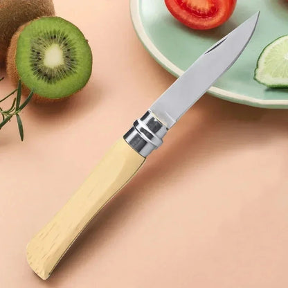 Pocket Knife Stainless Steel Folding Fruit Knife Portable Sharp Peeler Knife for Fruits Kitchen Knives Cooking Tools Household